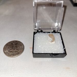 Rare Thick Solar Wind Mine, Utah Pink Topaz in Topaz Rhyolite Specimen Box